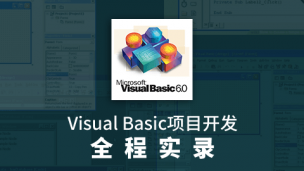Visual Basic项目开发全程实录