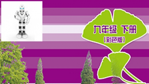 信息技术九年级下册